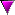 FRECCIA VIOLA Gių