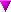 FRECCIA VIOLA Gių