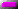 LED VIOLA