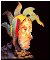 The Sad Jester